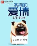 一条狗的爱情章节列表