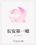 长安第一媳章节列表