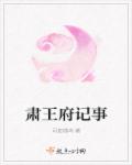 肃王府记事章节列表