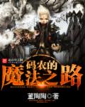 码农的魔法之路章节列表