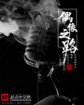 偶像之道章节列表