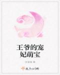 王爷的宠妃萌宝章节列表