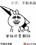单挑还是群殴章节列表