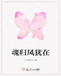 魂归凤犹在章节列表