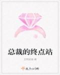 总裁的终点站章节列表