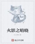 火影之暗晓章节列表