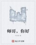 师哥，你好章节列表