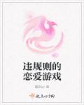 违规则的恋爱游戏章节列表