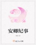 安卿纪事章节列表
