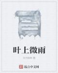 叶上微雨章节列表