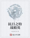 抗日之特战精英章节列表