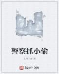 警察抓小偷章节列表