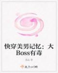 快穿美男记忆：大Boss有毒章节列表