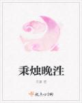 秉烛晚泩章节列表