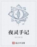 夜灵手记章节列表