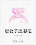 贵公子追妻记章节列表