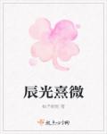 辰光熹微章节列表