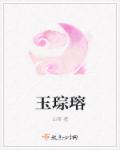 玉琮瑢章节列表
