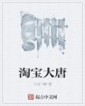 淘宝大唐章节列表
