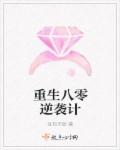 重生八零逆袭计章节列表