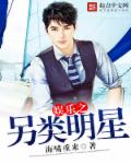 娱乐之另类明星章节列表