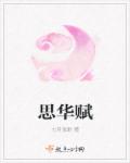 思华赋章节列表