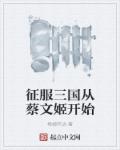 征服三国从蔡文姬开始章节列表