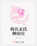 我名孟氏柳南星章节列表