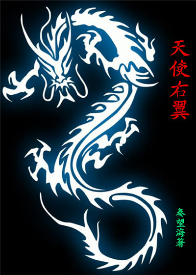 天使右翼章节列表