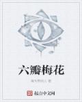 六瓣梅花章节列表