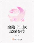金陵十二钗之探春传章节列表