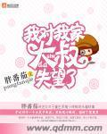 我对我家大叔失望了章节列表
