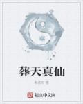 葬天真仙章节列表