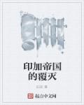 印加帝国的覆灭章节列表