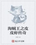 海贼王之皮皮虾传奇章节列表