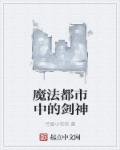 魔法都市中的剑神章节列表