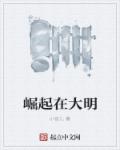 崛起在大明章节列表