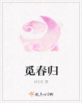 觅春归章节列表
