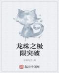 龙珠之极限突破章节列表