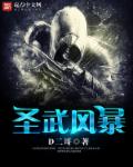 圣武风暴章节列表