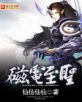 磁电至圣章节列表