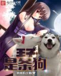 重生过去变成狗章节列表