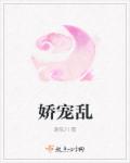 娇宠乱章节列表
