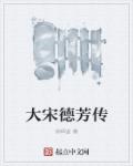 大宋德芳传章节列表