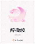 醉挽绫章节列表
