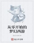 从零开始的梦幻西游章节列表