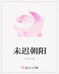 未迟朝阳章节列表