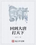 回到大唐打天下章节列表