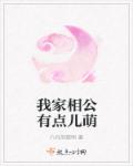 我家相公有点儿萌章节列表