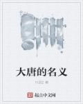 大唐的名义章节列表